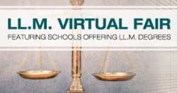 LLM Virtual Fair