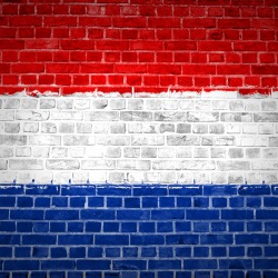 Studying an LLM in the Netherlands
